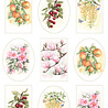 Marianne Design Decoupage Sheet A4 Mattie's Mooiste Fruit & Flowers (MB0222) Marianne Design Decoupage Sheet A4 Mattie's Mooiste Fruit & Flowers (MB0222)