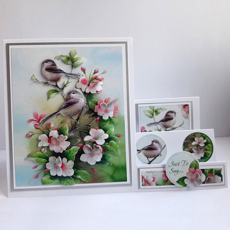 Katy Sue Designs Birds in Blossom 3D Die-Cut Decoupage (3pcs) (11-DCD528)