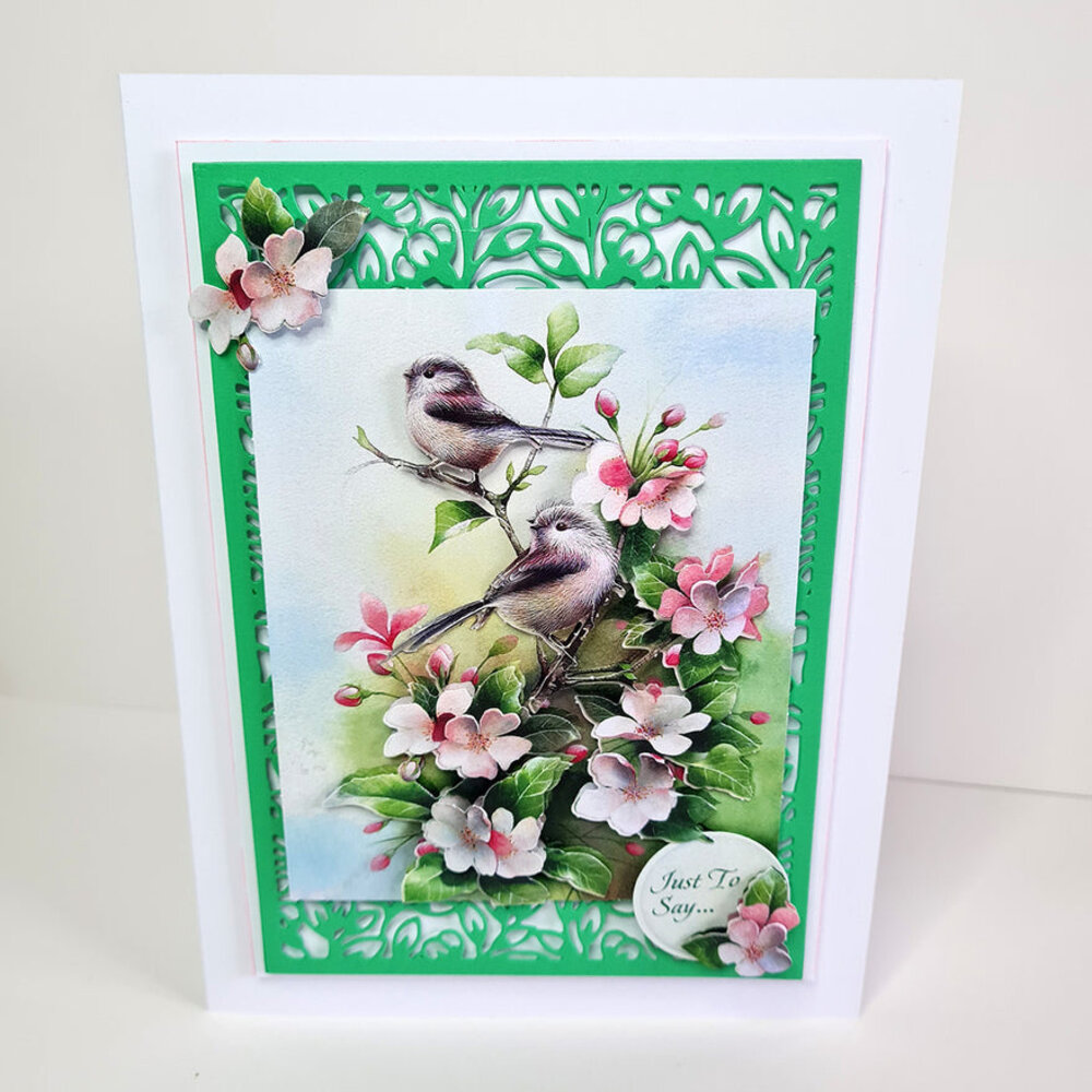 Katy Sue Designs Floral collection 3D Die-Cut Decoupage (12pcs) (11-DCDFLO) Katy Sue Designs Floral collection 3D Die-Cut Decoupage (12pcs) (11-DCDFLO)