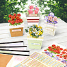 Katy Sue Designs Flower Patch Pots Card Making Kit (17-10075FPP) Katy Sue Designs Flower Patch Pots Card Making Kit (17-10075FPP)