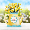 Katy Sue Designs Watering Can Blossoms and Blooms Card Making Kit (17-10081WCF) Katy Sue Designs Watering Can Blossoms and Blooms Card Making Kit (17-10081WCF)