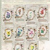 Creatief Art Bloemen & Vlinders 02 Card Kit Collection (VM65-003) Creatief Art Bloemen & Vlinders 02 Card Kit Collection (VM65-003)
