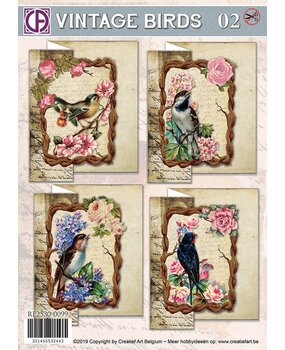 Creatief Art Vintage Birds 02 Card Kit (RE2530-0099)