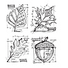 Stampers Anonymous Autumn Blueprint Tim Holtz Cling Stamps (CMS133) Stampers Anonymous Autumn Blueprint Tim Holtz Cling Stamps (CMS133)