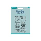Crafter's Companion Graceful Plumes Clear Acrylic Stamp Strut Your Stuff (GP-CA-ST-STYST)