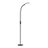Lumina Floor Lamp Black (LV3001) Lumina Floor Lamp Black (LV3001)