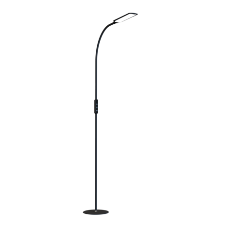 Light and Vision Lumina Floor Lamp Black (LV3001) Light and Vision Lumina Floor Lamp Black (LV3001)