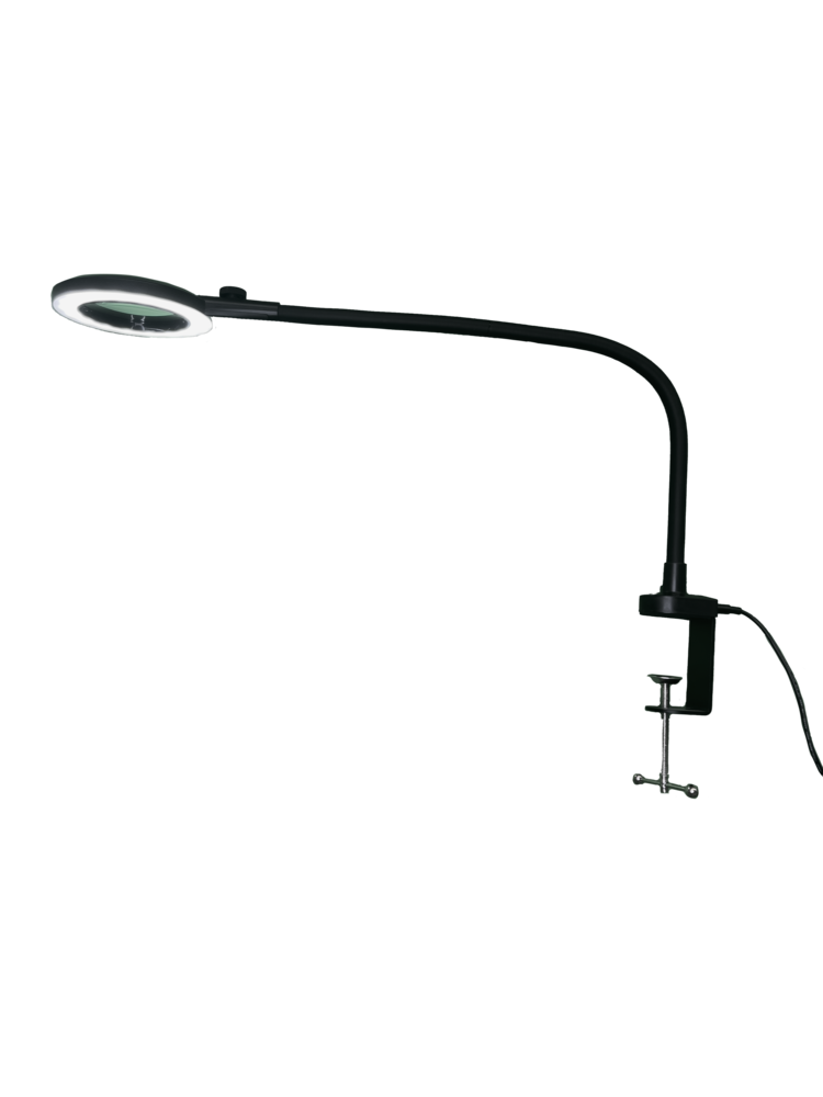 Light and Vision Chameleon Hybrid Magnifier Lamp 5D (LV4001) Light and Vision Chameleon Hybrid Magnifier Lamp 5D (LV4001)