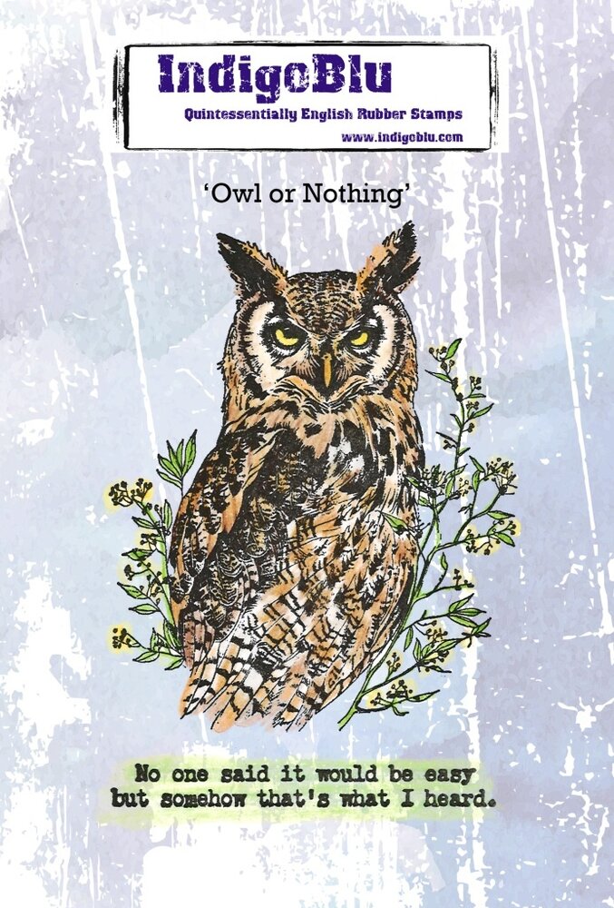 IndigoBlu Owl or Nothing A6 Red Rubber Stamp (IND1395) IndigoBlu Owl or Nothing A6 Red Rubber Stamp (IND1395)