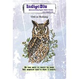 IndigoBlu Owl or Nothing A6 Red Rubber Stamp (IND1395)