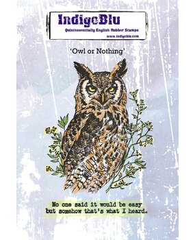 IndigoBlu Owl or Nothing A6 Red Rubber Stamp (IND1395)