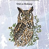 IndigoBlu Owl or Nothing A6 Red Rubber Stamp (IND1395) IndigoBlu Owl or Nothing A6 Red Rubber Stamp (IND1395)