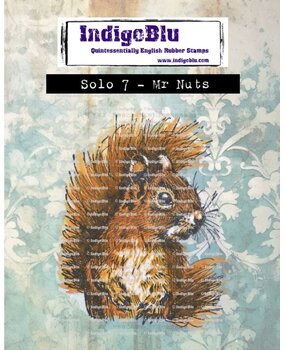 IndigoBlu Solo 7 Mr Nuts Rubber Stamp (IND1384)