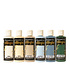 Timeless Allegro Paint Kit (6pcs) (KALKIT61)