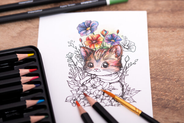 Studio Light Artist Quality Watercolor Pencils (12pcs) (SL-CO-PENC03) (BASIC)