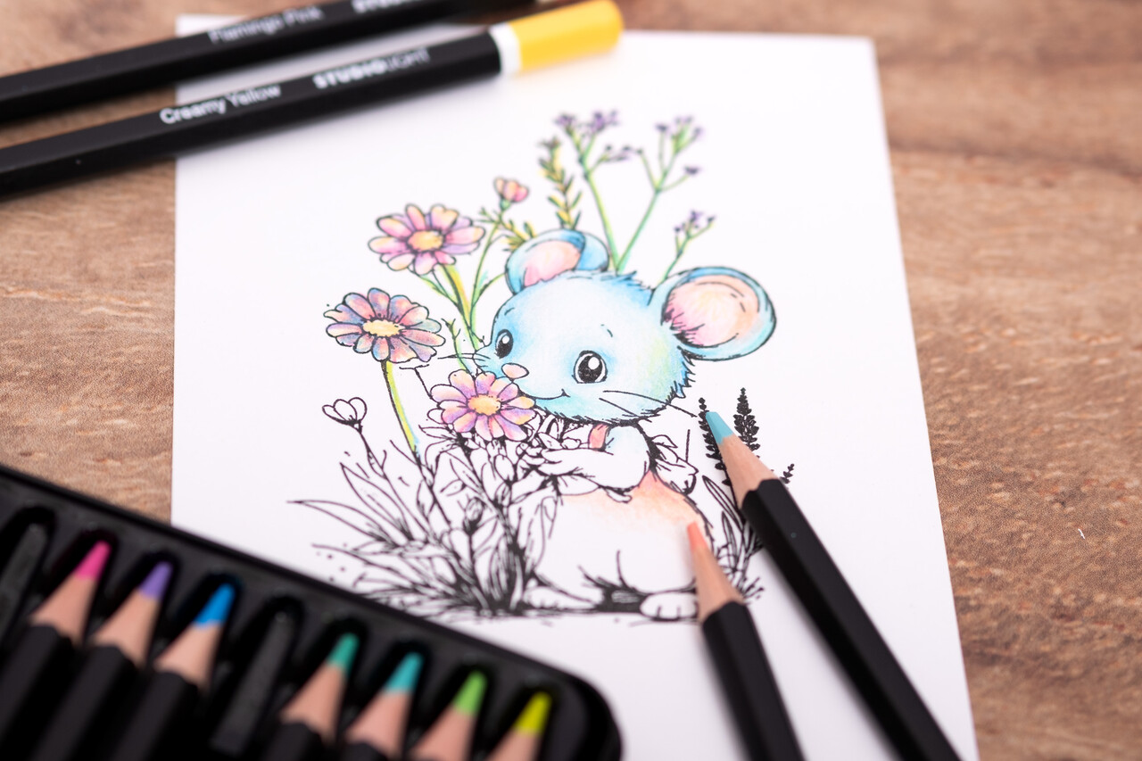 Studio Light Artist Quality Pastel Pencils (12pcs) (SL-CO-PENC01) (BASIC)