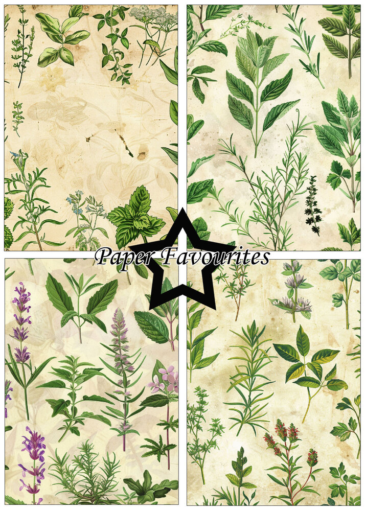 Paper Favourites Kitchen Herbs A5 Paper Pad (PFA178)