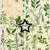 Paper Favourites Kitchen Herbs A5 Paper Pad (PFA178)