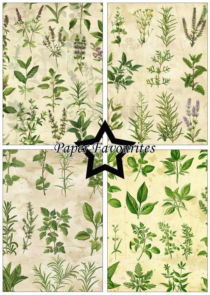 Paper Favourites Kitchen Herbs A5 Paper Pad (PFA178)