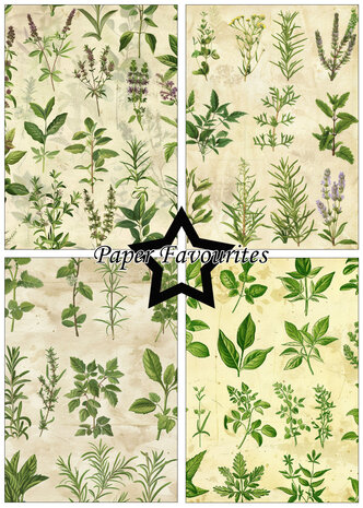 Paper Favourites Kitchen Herbs A5 Paper Pad (PFA178)
