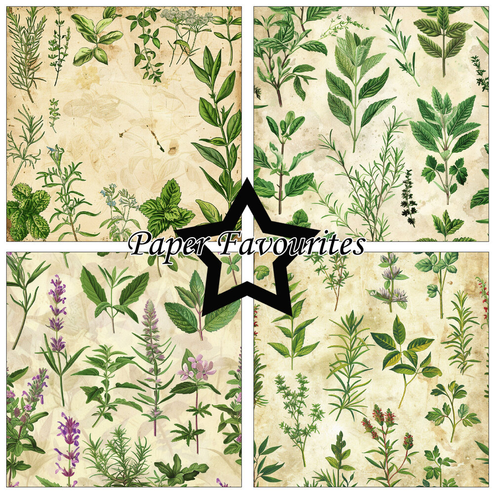 Paper Favourites Kitchen Herbs 12x12 Inch Paper Pad (PF737) Paper Favourites Kitchen Herbs 12x12 Inch Paper Pad (PF737)
