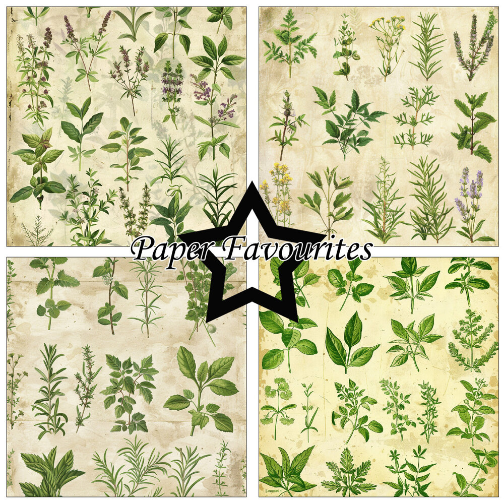 Paper Favourites Kitchen Herbs 12x12 Inch Paper Pad (PF737) Paper Favourites Kitchen Herbs 12x12 Inch Paper Pad (PF737)