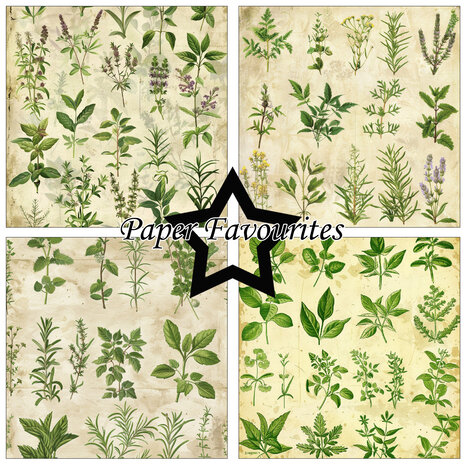 Paper Favourites Kitchen Herbs 12x12 Inch Paper Pad (PF737) Paper Favourites Kitchen Herbs 12x12 Inch Paper Pad (PF737)