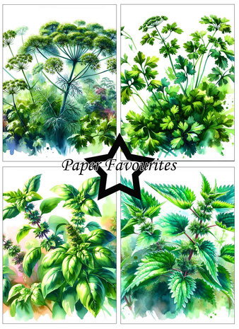 Paper Favourites Herbs A6 Paper Pad (PFA578)