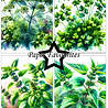 Paper Favourites Herbs A6 Paper Pad (PFA578)