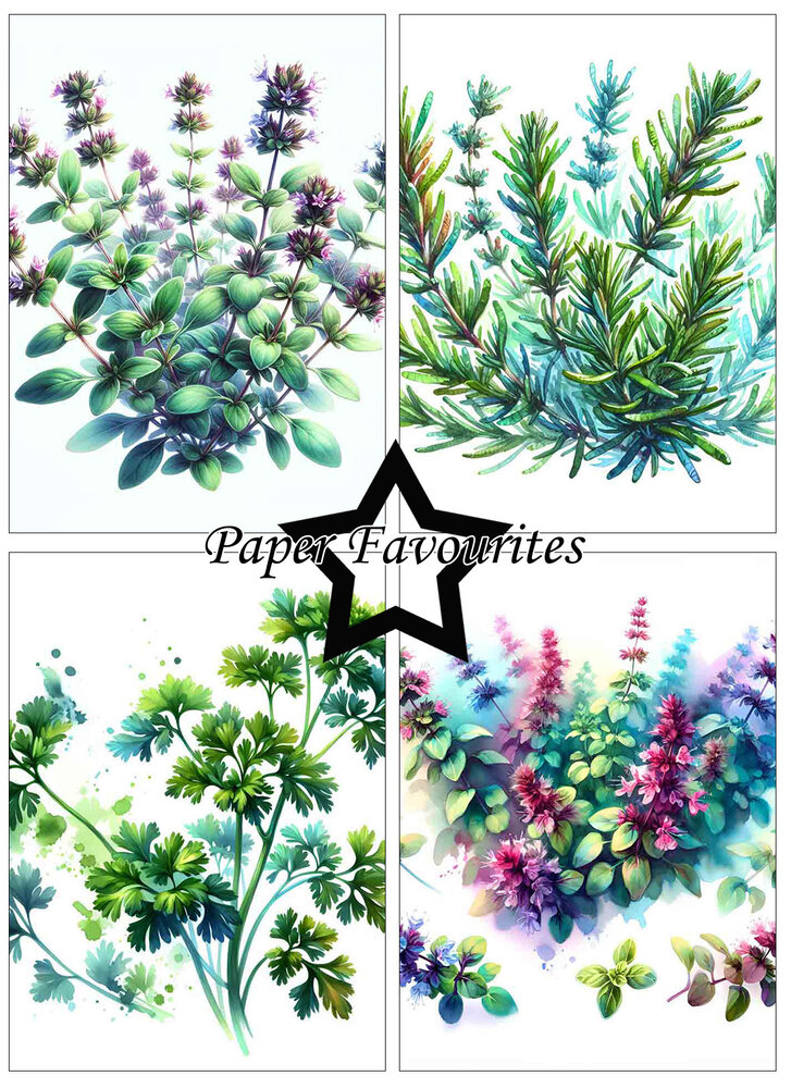 Paper Favourites Herbs A6 Paper Pad (PFA578)