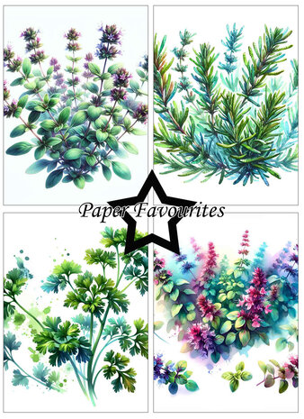 Paper Favourites Herbs A6 Paper Pad (PFA578)