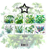 Paper Favourites Herbs 6x6 Inch Paper Pad (PF537)