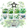 Paper Favourites Herbs 6x6 Inch Paper Pad (PF537) Paper Favourites Herbs 6x6 Inch Paper Pad (PF537)