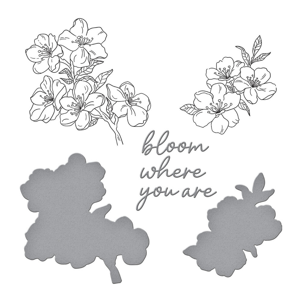 Spellbinders Spring in Kyoto BetterPress Plate & Die Set Cherry Blossoms (BP-290) Spellbinders Spring in Kyoto BetterPress Plate & Die Set Cherry Blossoms (BP-290)