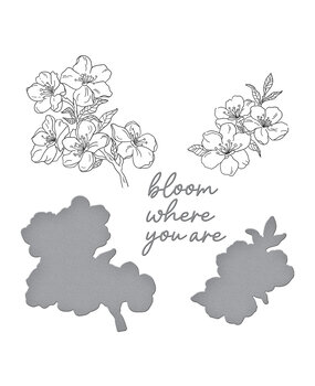 Spellbinders Spring in Kyoto BetterPress Plate & Die Set Cherry Blossoms (BP-290) Spellbinders Spring in Kyoto BetterPress Plate & Die Set Cherry Blossoms (BP-290)