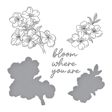 Spellbinders Spring in Kyoto BetterPress Plate & Die Set Cherry Blossoms (BP-290) Spellbinders Spring in Kyoto BetterPress Plate & Die Set Cherry Blossoms (BP-290)