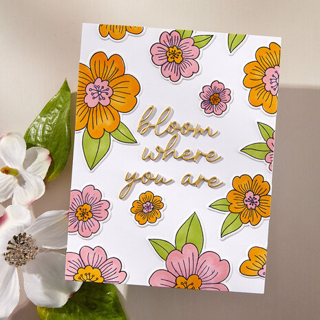 Spellbinders Spring in Kyoto BetterPress Plate & Die Set Blossoms & Sentiments (BP-292) Spellbinders Spring in Kyoto BetterPress Plate & Die Set Blossoms & Sentiments (BP-292)