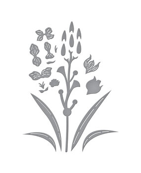 Spellbinders Wildflowers Etched Dies Layered Gladiolus (S4-1429)