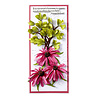 Spellbinders Summer Solstice Garden Etched Dies Echinacea (Coneflower) (S4-1437) Spellbinders Summer Solstice Garden Etched Dies Echinacea (Coneflower) (S4-1437)