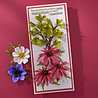 Spellbinders Summer Solstice Garden Etched Dies Echinacea (Coneflower) (S4-1437) Spellbinders Summer Solstice Garden Etched Dies Echinacea (Coneflower) (S4-1437)