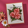 Spellbinders Summer Solstice Garden Etched Dies Begonia and Ladybugs (S4-1435) Spellbinders Summer Solstice Garden Etched Dies Begonia and Ladybugs (S4-1435)