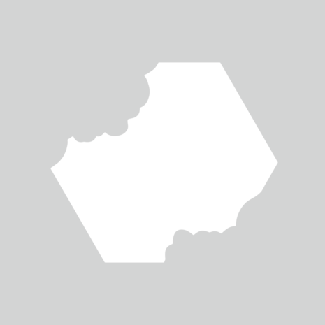 Crafter's Companion 3D Emboss Macro Aperture Folders Alluring Anemones (CC-3DEF5.5-MD-STEN-ALAN) Crafter's Companion 3D Emboss Macro Aperture Folders Alluring Anemones (CC-3DEF5.5-MD-STEN-ALAN)