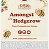Craft Consortium Amongst the Hedgerow A6 Clear Photopolymer Stamps Buzzing (CCSTMP098) Craft Consortium Amongst the Hedgerow A6 Clear Photopolymer Stamps Buzzing (CCSTMP098)