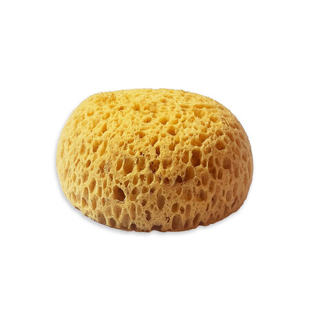 Stamperia Art Stories Sponge Paint (ASTL003) Stamperia Art Stories Sponge Paint (ASTL003)