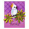 Spellbinders Cheerful Chirps Etched Dies Flying High (S4-1407) Spellbinders Cheerful Chirps Etched Dies Flying High (S4-1407)
