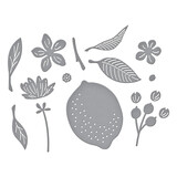 Spellbinders La Dolce Vita Etched Dies Citrus Spritz (S2-445)