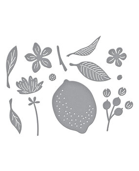 Spellbinders La Dolce Vita Etched Dies Citrus Spritz (S2-445)