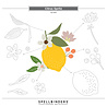 Spellbinders La Dolce Vita Etched Dies Citrus Spritz (S2-445) Spellbinders La Dolce Vita Etched Dies Citrus Spritz (S2-445)