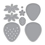 Spellbinders Summer Felt Stitch & Create Etched Dies Berry Blossom (S6-256)