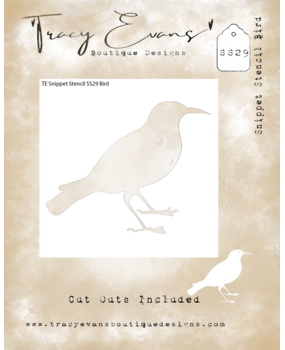 Tracy Evans Bird 4x4 Inch Snippet Stencil (SS029)